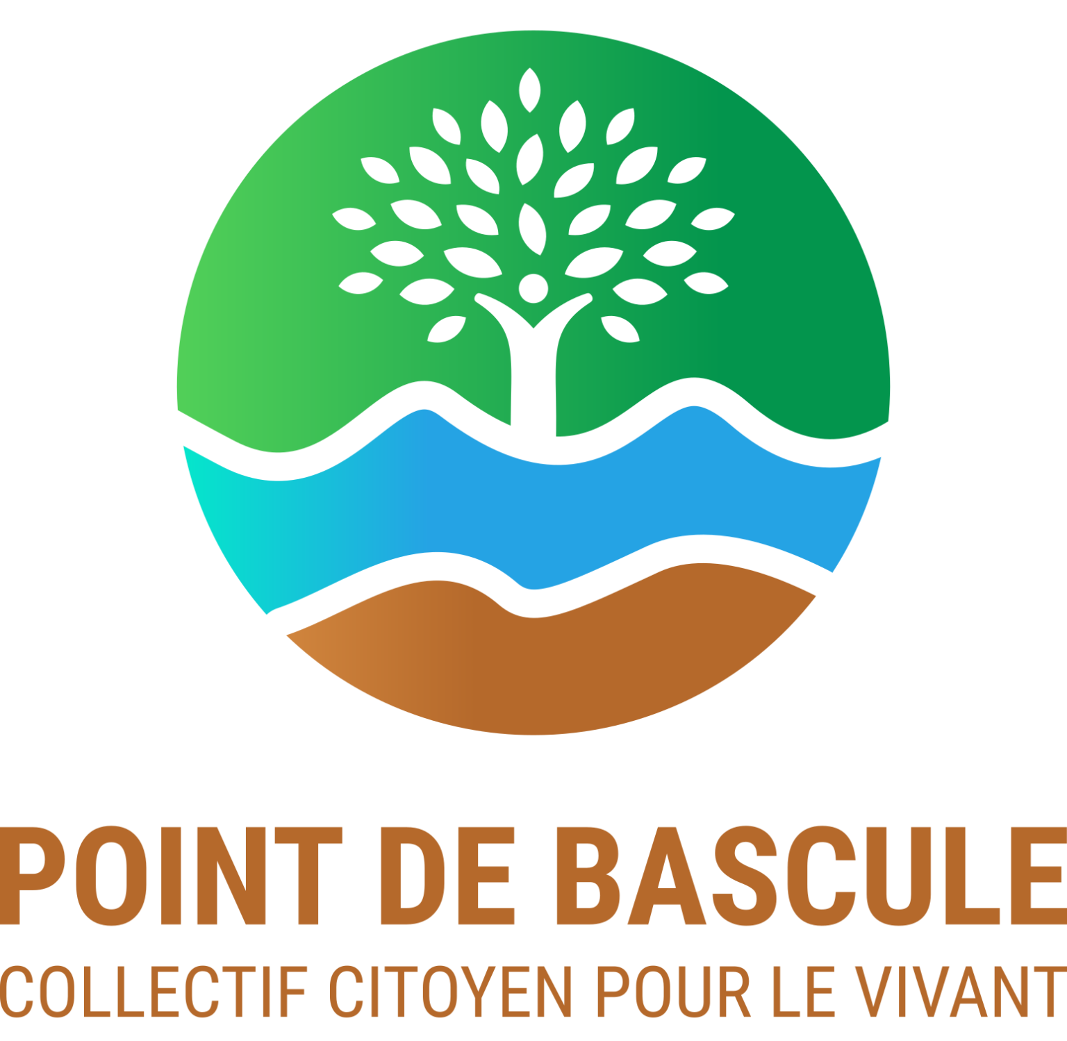 Point de Bascule